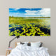 Florida Nature Preserve Wall Mural