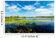 Florida Nature Preserve Wall Mural