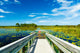 Florida Nature Preserve Wall Mural