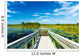 Florida Nature Preserve Wall Mural