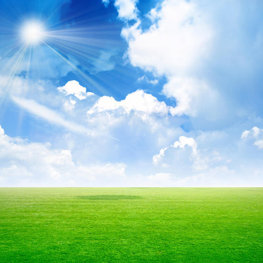 abstract scene green meadow under light sky Wall Mural