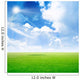 abstract scene green meadow under light sky Wall Mural