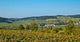 Burgundian Vineyards Wall Decal