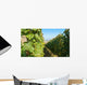 Vineyards Burgundy Wall Decal