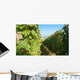 Vineyards Burgundy Wall Decal