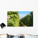 Vineyards Burgundy Wall Decal