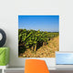 Vineyards Burgundy Pinot Black Wall Decal