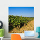 Vineyards Burgundy Pinot Black Wall Decal