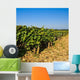 Vineyards Burgundy Pinot Black Wall Decal