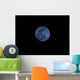Full Moon Wall Decal