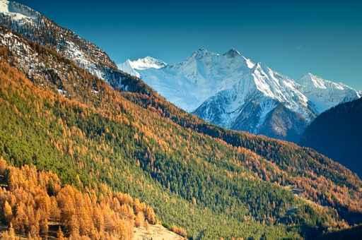 Alps Autumn Wall Decal