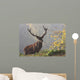 Red deer Wall Mural