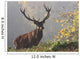 Red deer Wall Mural