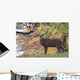 Red Deer Wall Mural