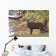 Red Deer Wall Mural