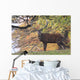 Red Deer Wall Mural