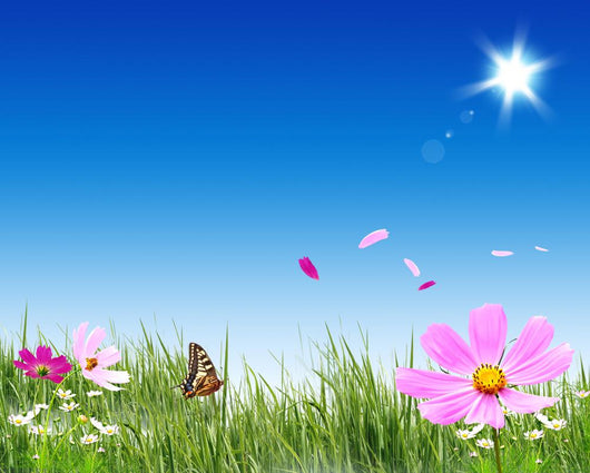 Summer time Wall Mural