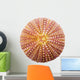 Shell Wall Decal