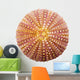 Shell Wall Decal