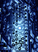 Dark Future Circuit Wall Mural