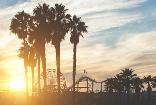 Santa Monica Pier with Wall Decal