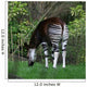 Okapi Wall Mural