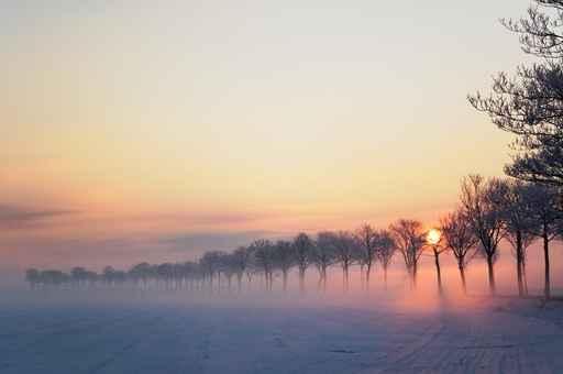 Winter Morning 2 Wall Decal Design 1