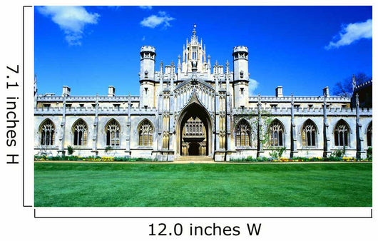 Cambridge University Wall Mural