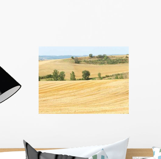 Pf0042 Wall Decal