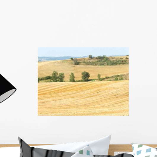 Pf0042 Wall Decal