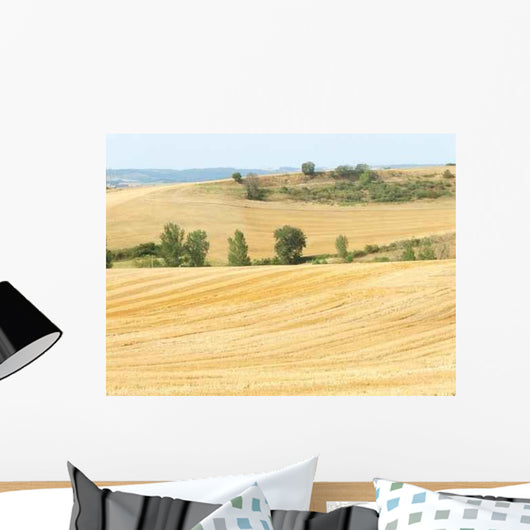 Pf0042 Wall Decal