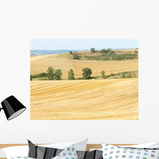 Pf0042 Wall Decal
