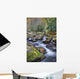Mountain Stream Wall Mural