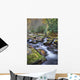 Mountain Stream Wall Mural