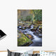 Mountain Stream Wall Mural