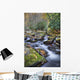 Mountain Stream Wall Mural