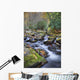 Mountain Stream Wall Mural