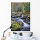 Mountain Stream Wall Mural