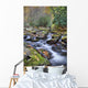 Mountain Stream Wall Mural