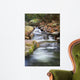 Autumn waterfall Wall Mural