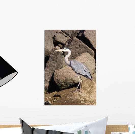 Wading Heron Wall Mural