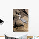 Wading Heron Wall Mural