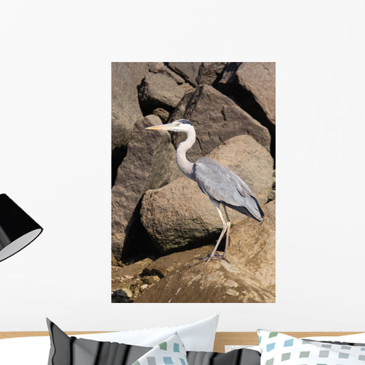 Wading Heron Wall Mural