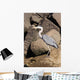 Wading Heron Wall Mural