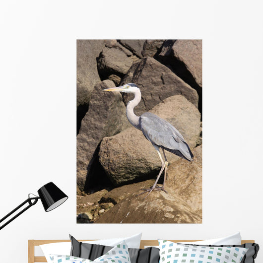 Wading Heron Wall Mural