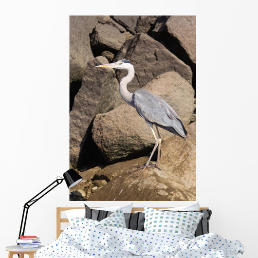 Wading Heron Wall Mural