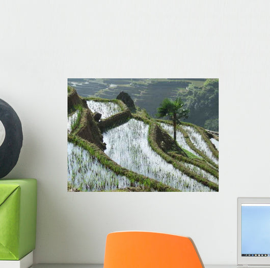 Rizieres En Terrasses Au Wall Decal