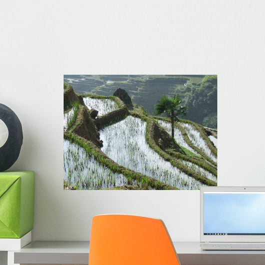 Rizieres En Terrasses Au Wall Decal