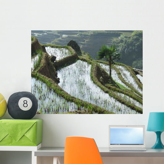 Rizieres En Terrasses Au Wall Decal