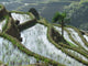 Rizieres En Terrasses Au Wall Decal